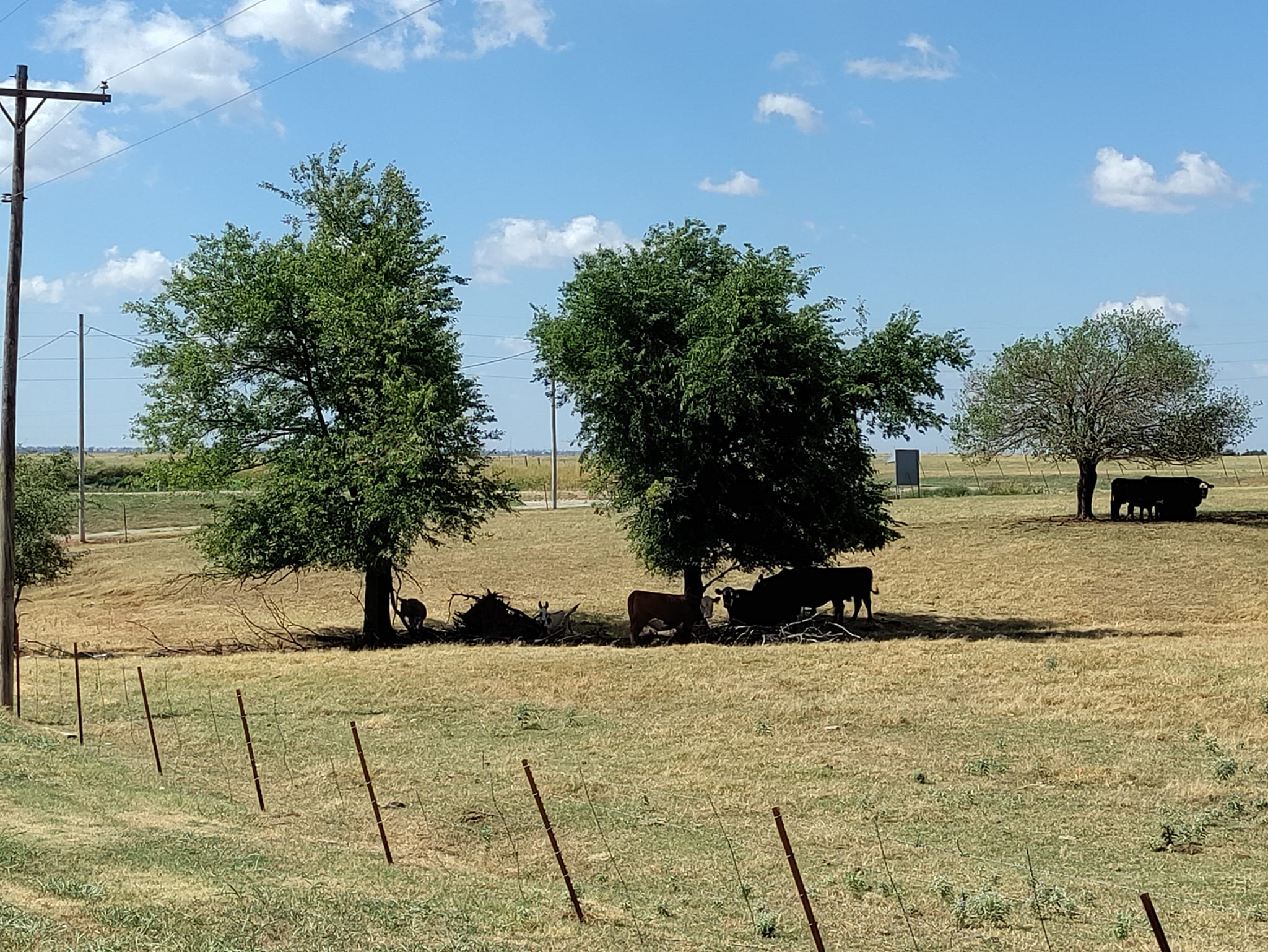 pictures from E-bike ride to Cashion