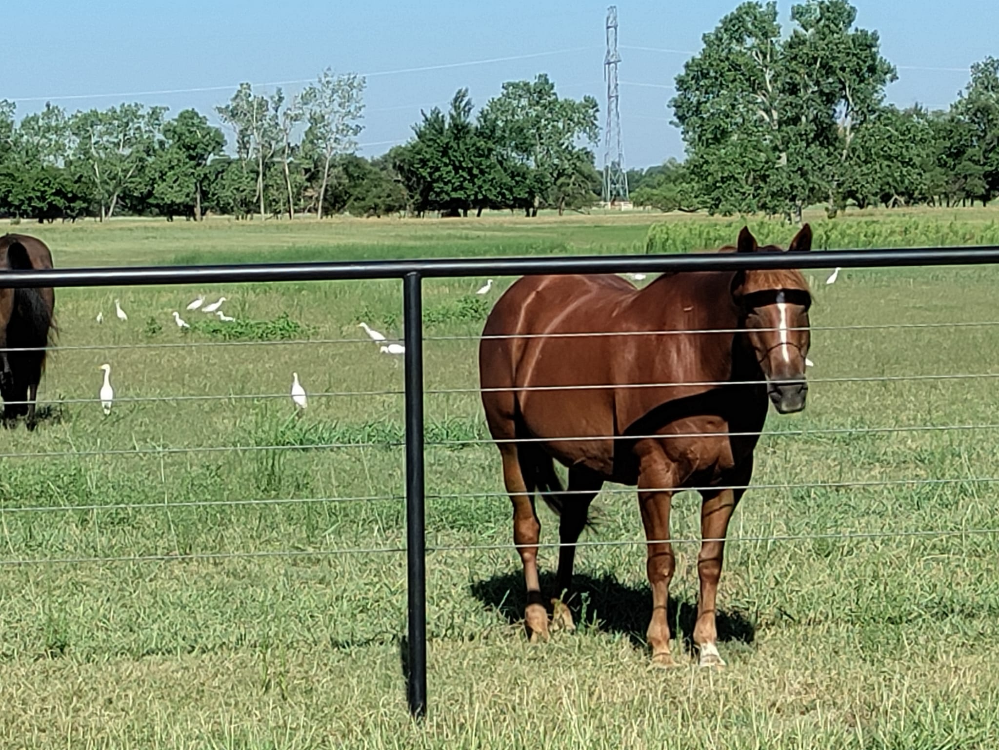 pictures from E-bike ride to Cashion